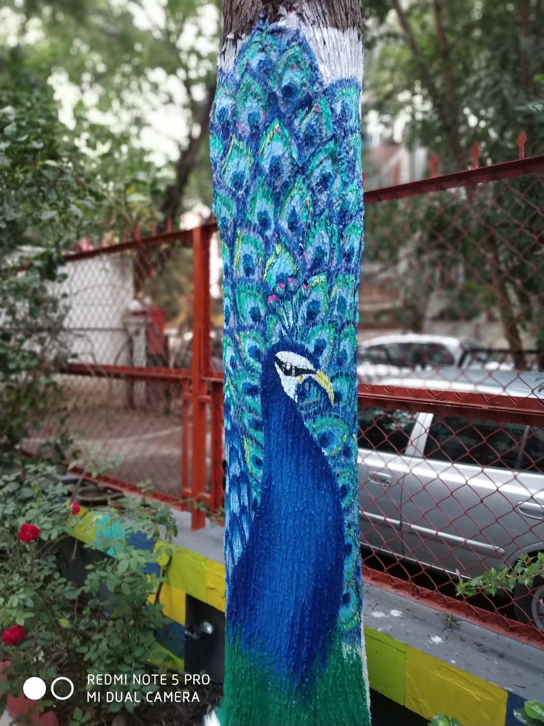 Arboreal Peacock